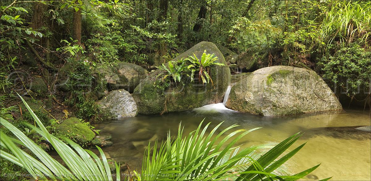 Peter Bellingham Photography Wurrmbu Creek - Mossman Gorge - QLD T (PBH4 00 17007)